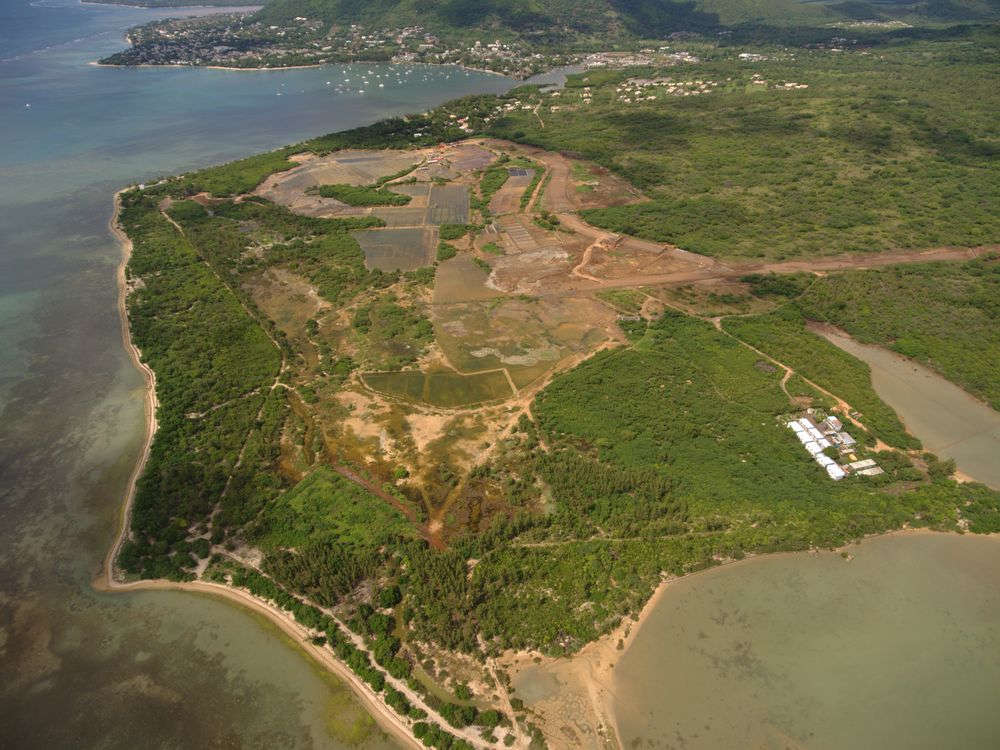 Wetland ESA #76, Category 1